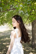 Swan Wen