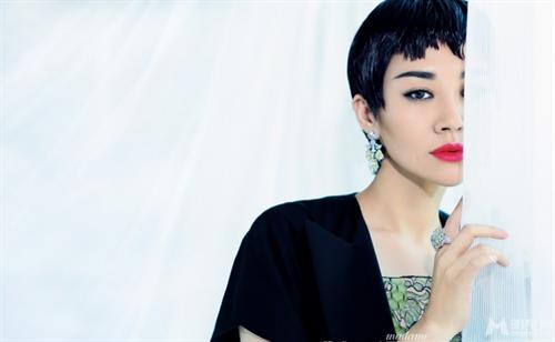 Qing Xu