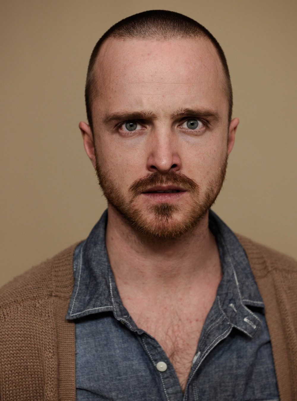 Aaron Paul