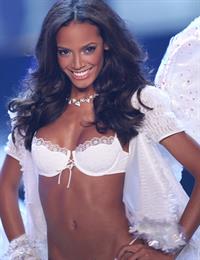 Selita Ebanks in lingerie