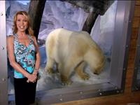 Vanna White