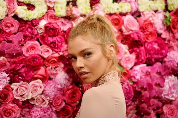 Stella Maxwell