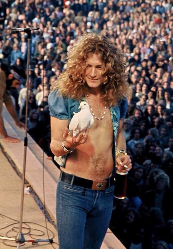 Robert Plant