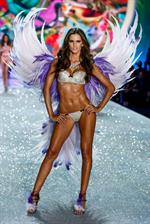 Izabel Goulart in lingerie
