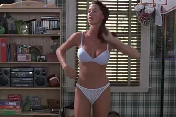 Shannon Elizabeth in lingerie