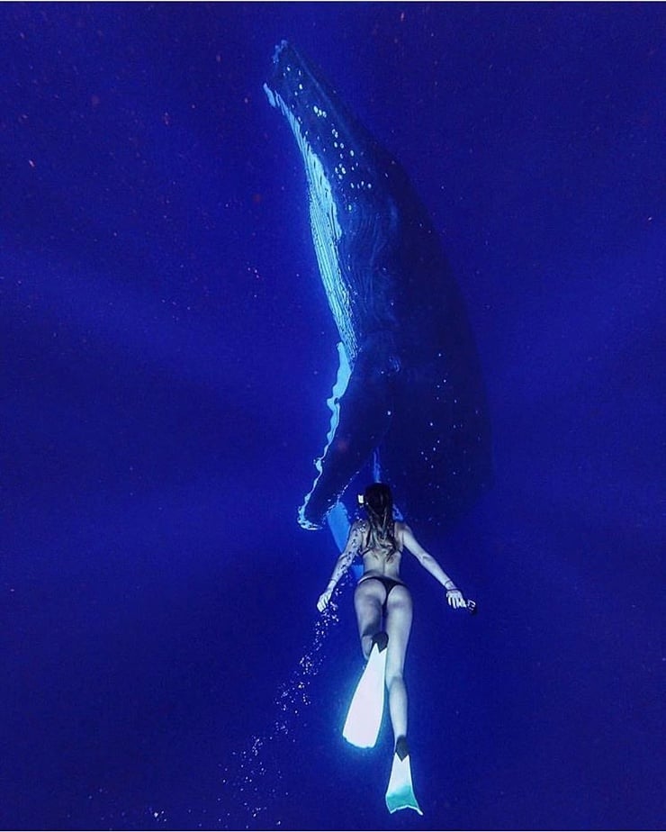 Sarah Kohan in a bikini - ass