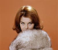Ann-Margret