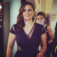 Hayley Atwell