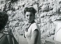 Sophia Loren Pictures Sophia Loren