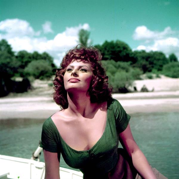 Sophia Loren