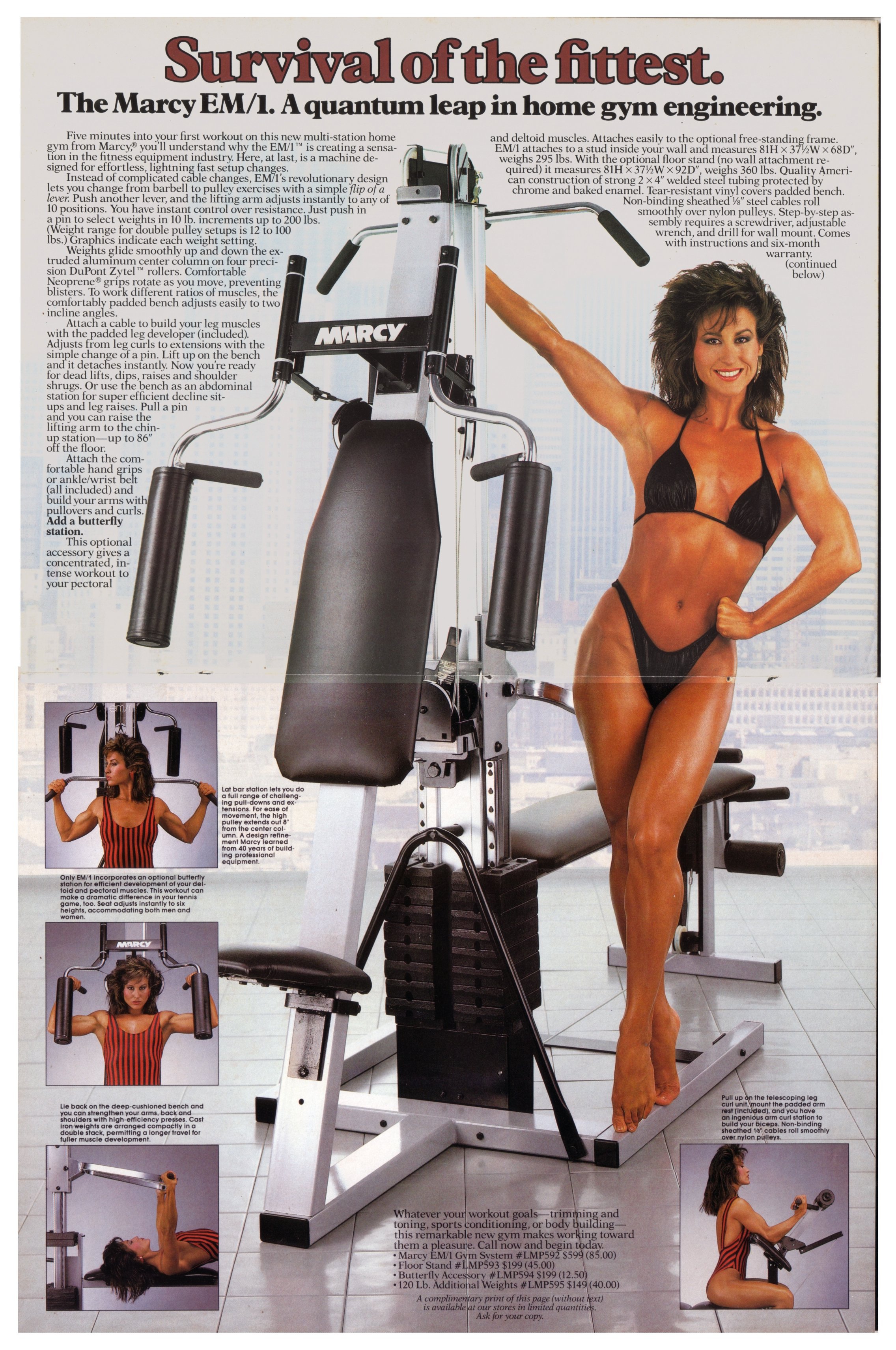 Rachel McLish in a bikini