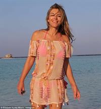 Elizabeth Hurley