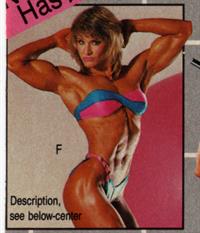 Cory Everson in a bikini