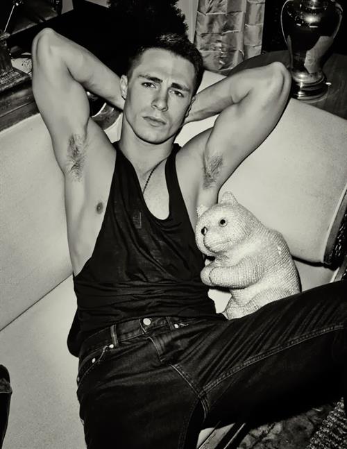 Colton Haynes