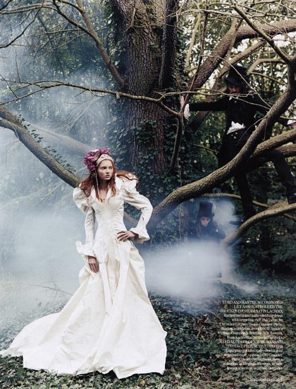 Lily Cole