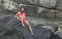 Elizabeth Hurley in a bikini