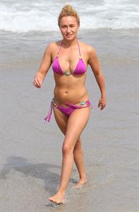 Hayden Panettiere in a bikini