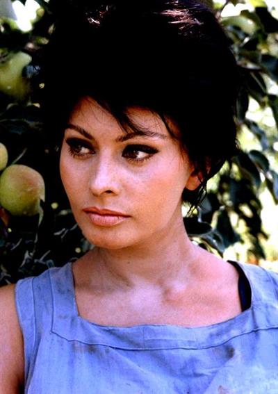 Sophia Loren
