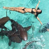 Bre Tiesi in a bikini