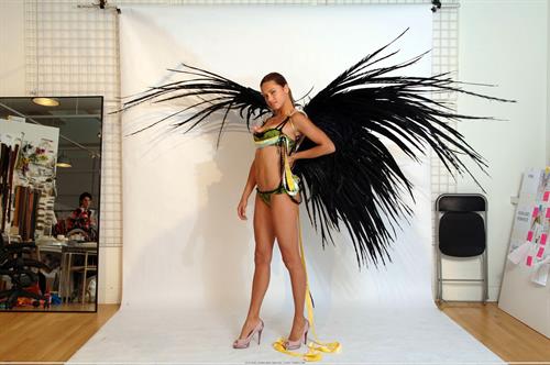 Adriana Lima in lingerie