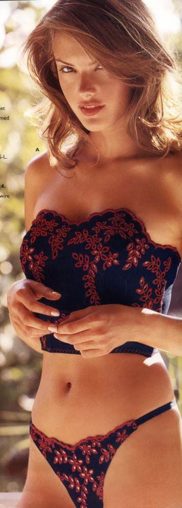 Alessandra Ambrosio in lingerie