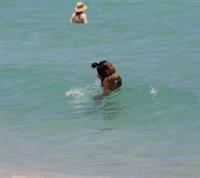 Karrueche Tran in a bikini