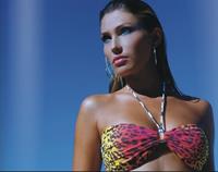 Simone Villas Boas in a bikini