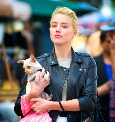 Amber Heard