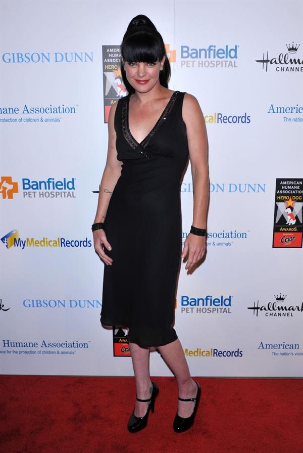 Pauley Perrette