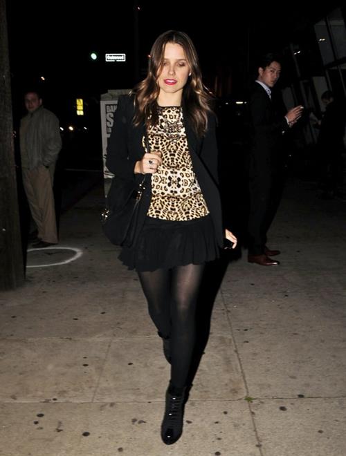 Sophia Bush