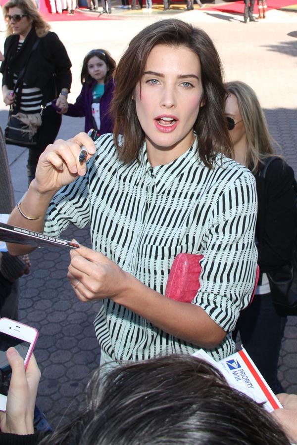 Cobie Smulders