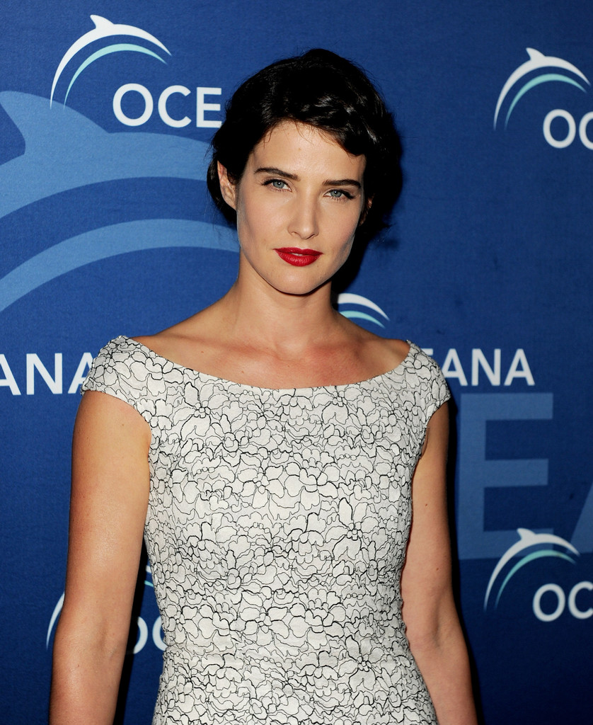 Cobie Smulders