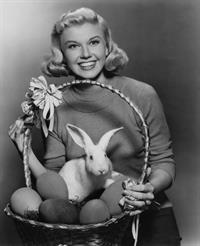 Doris Day
