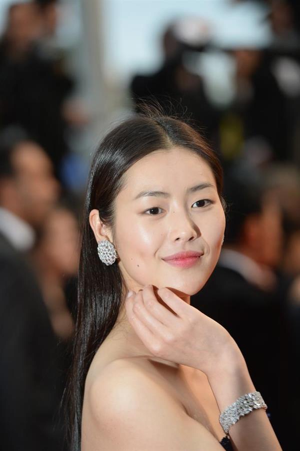 Liu Wen