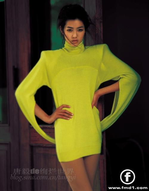 Liu Wen
