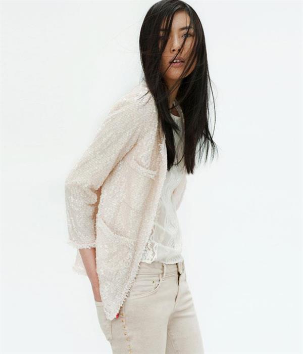 Liu Wen