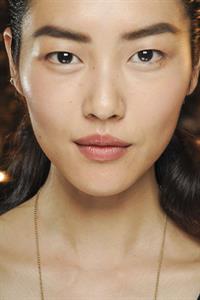 Liu Wen