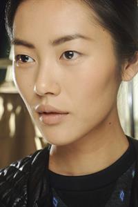 Liu Wen