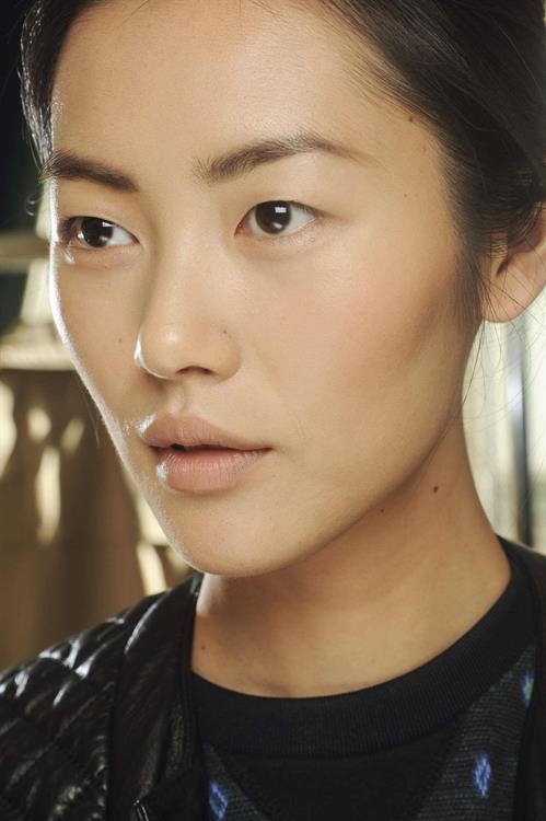 Liu Wen