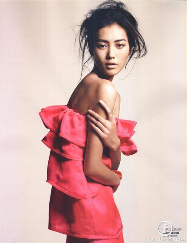 Liu Wen