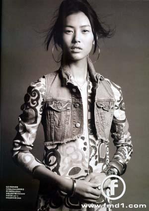 Liu Wen