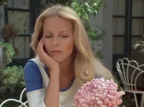 Cheryl Ladd as Kris Munroe on Charlie's Angels in a Casual Blue and White Top