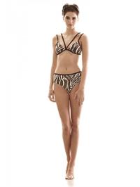 Kendall Jenner in a bikini