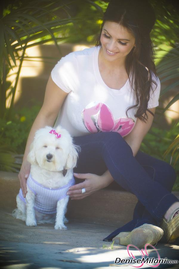 Denise Milani Photoset - Doggie13