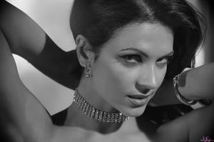 Denise Milani Photoset - Glamorous