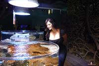 Denise Milani Snapshots - Aquarium