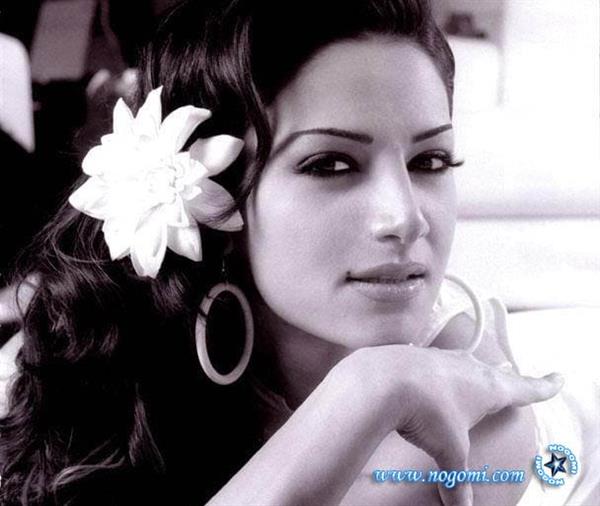 Diana Joseph Fouad Haddad