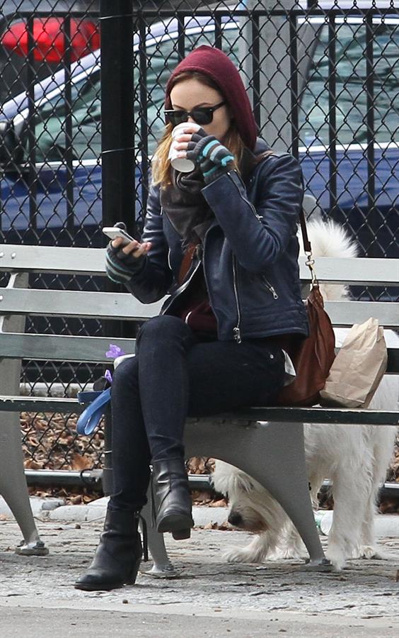 Olivia Wilde out walking her dog in New York City - February 16, 2013 