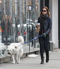 Olivia Wilde out walking her dog in New York City - February 16, 2013 