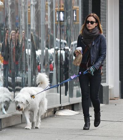Olivia Wilde out walking her dog in New York City - February 16, 2013 